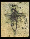 dali_002.jpg (568117 oCg)