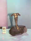 dali_sc03.jpg (191569 oCg)