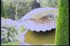shell_stage.jpg (59151 oCg)