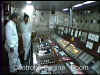 shot04.jpg (59330 oCg)