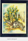 zakin02.jpg (769272 oCg)